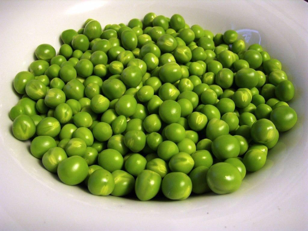 Pea-protein milk has a smooth and creamy taste.