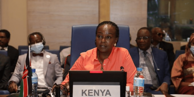 Ambassador Jean Njeri Kamau