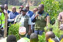 President William Ruto when he launched the Climate Resilience Service Program (CRSP) on September 12, 2024 in Korogocho, Nairobi County.