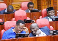 Senator Richard Onyonka and Samson Cherargei during a session of the Senate Committee on Roads, Transportation and Housing