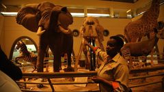 CityBlue Hotels partners with National Museums of Kenya to launch night tours