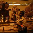 CityBlue Hotels partners with National Museums of Kenya to launch night tours