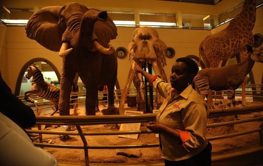 CityBlue Hotels partners with National Museums of Kenya to launch night tours