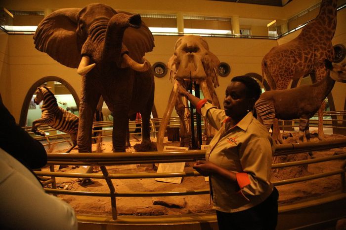 CityBlue Hotels partners with National Museums of Kenya to launch night tours