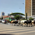An AI-generated image depicting cows crossing a road in Nairobi, Kenya