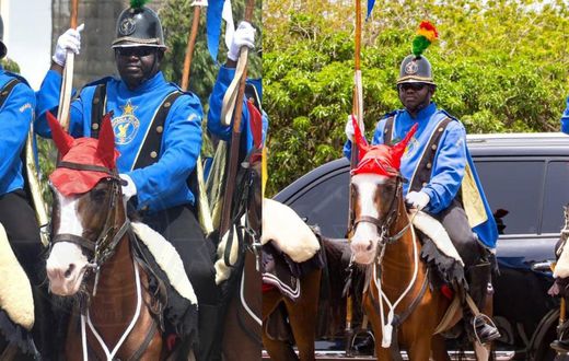 Ghana Police mourns the death of one of its horses, P/H Corporal Queen Mother