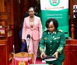 Defence nominee Soipan Tuya