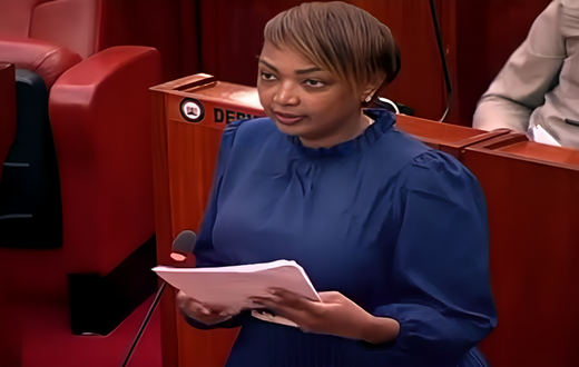 Senator Karen Nyamu speaking in the Senate