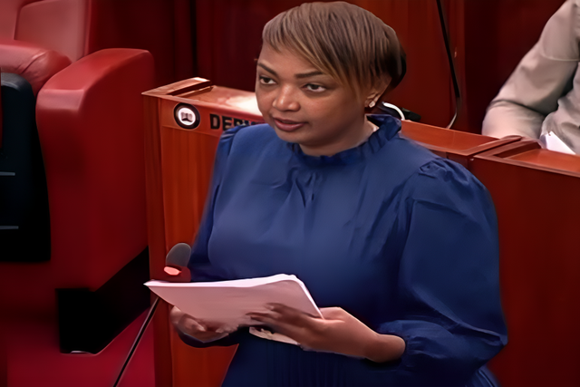 Senator Karen Nyamu speaking in the Senate