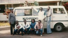 Them Mushrooms Band