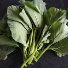 Pumpkin leaves or misheveve