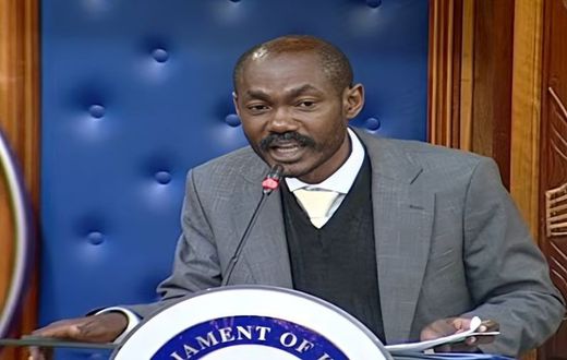 Advocate Elisha Ong'oya