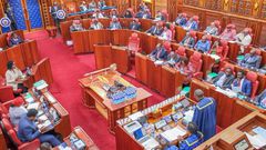 Senate during the impeachment hearing of Deputy President Rigathi Gachagua