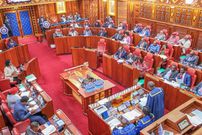 Senate during the impeachment hearing of Deputy President Rigathi Gachagua