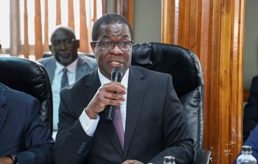 Energy Cabinet Secretary Opiyo Wandayi