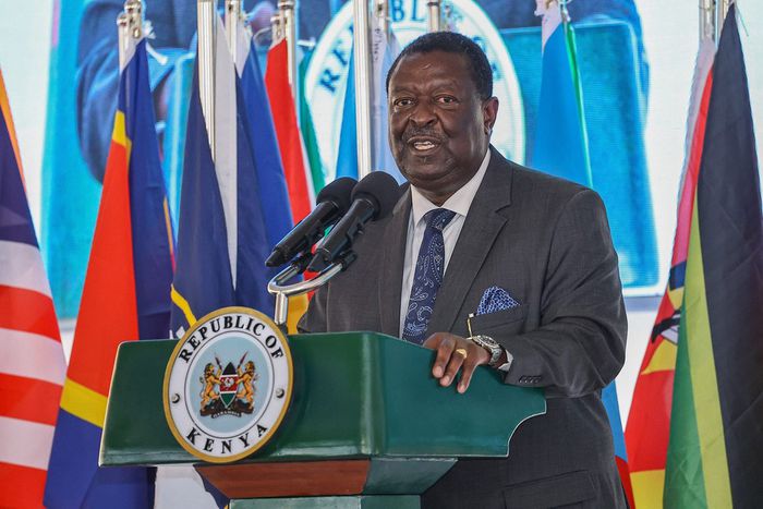 Prime Cabinet Secretary Musalia Mudavadi when he appeared before the senate
