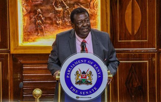 Prime Cabinet Secretary Musalia Mudavadi when he appeared before the Senate