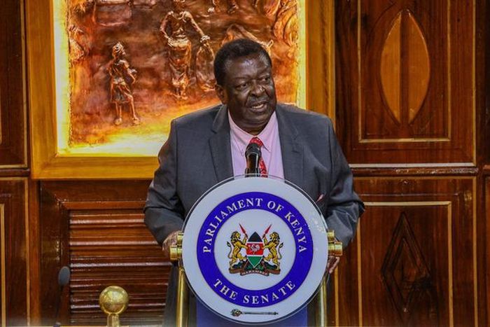 Prime Cabinet Secretary Musalia Mudavadi when he appeared before the Senate