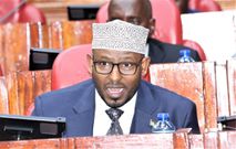 Wajir Governor Ahmed Abdullahi Jiir