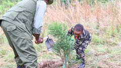 President William Ruto planting a tree alongside a young boy during the National Tree Planting Day in Murang'a County on May 10, 2024