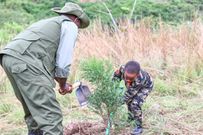 President William Ruto planting a tree alongside a young boy during the National Tree Planting Day in Murang'a County on May 10, 2024