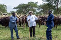 President of Kenya, William Ruto, President of Uganda, Yoweri Museveni and former Prime Minister of the Republic of Kenya, the late Rt. Hon. Raila Amolo Odinga at Museveni's Kisozi country home, February 2024