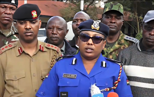 County Police Commander Doris Kemey addressing the media
