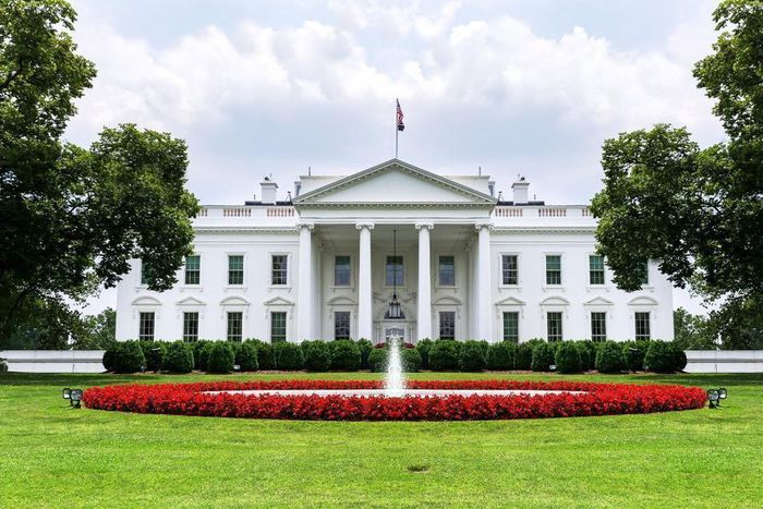The white-house (Credit: MagicBricks)