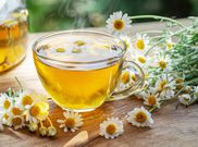 Chamomile[iStock]