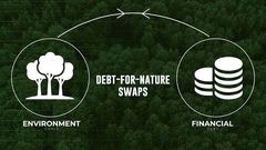 Debt for nature swap
