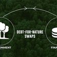 Debt for nature swap