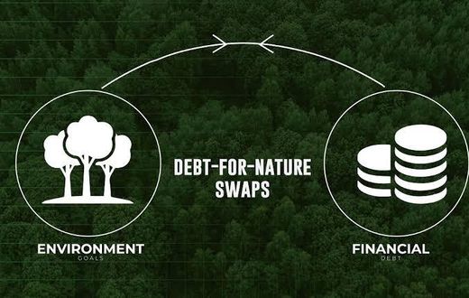 Debt for nature swap