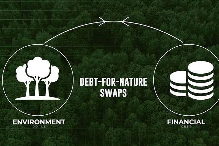 Debt for nature swap