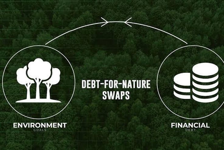 Debt for nature swap