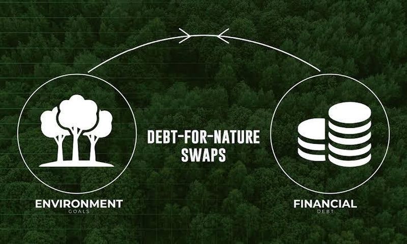 Debt for nature swap