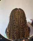 Goddess braids by Afrohairr