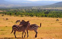 kenya