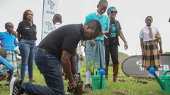 Mr John Gachora, Group Managing Director of NCBA plants a tree on World Environment Day