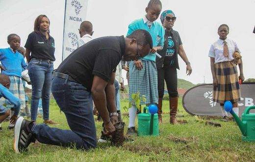 Mr John Gachora, Group Managing Director of NCBA plants a tree on World Environment Day