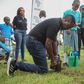 Mr John Gachora, Group Managing Director of NCBA plants a tree on World Environment Day