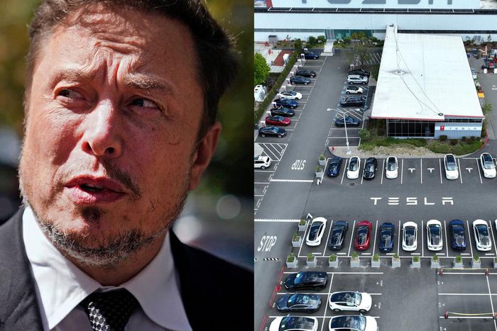 Tesla CEO Elon Musk and the Tesla factory in Fremont, California.Nathan Howard and Justin Sullivan via Getty Images