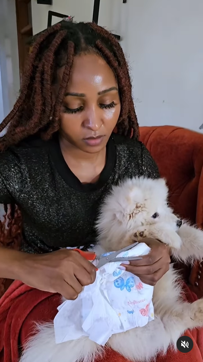 A screengrab of Zora actress Brenda Mitchell detailing how to diaper and comfort a dog who is menstruating