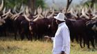 President Museveni at his farm in Kisozi, Gomba recently/Instagram