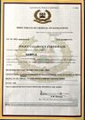 A certificate of good conduct