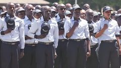 KRA's Revenue Service Assistants