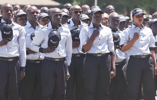 KRA's Revenue Service Assistants