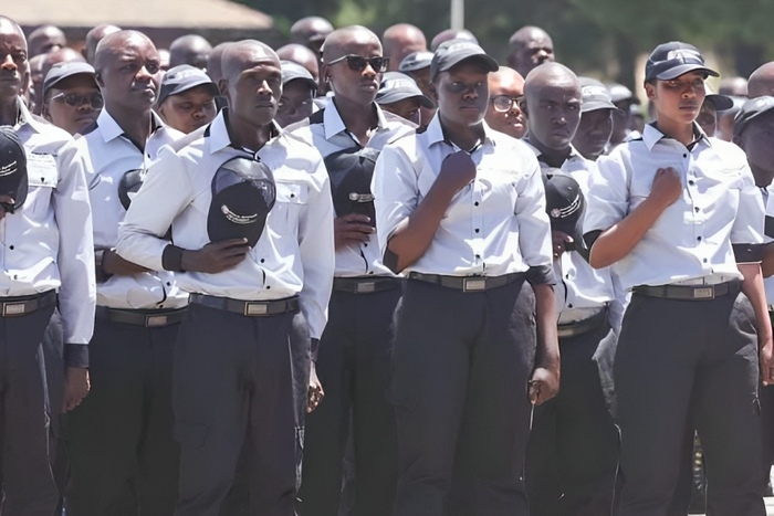 KRA's Revenue Service Assistants