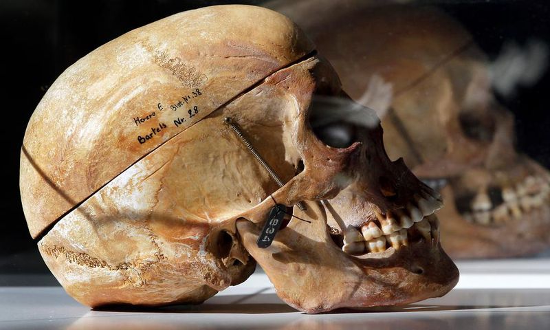 DNA of skulls pillaged by Germans have been linked to living relatives in Tanzania