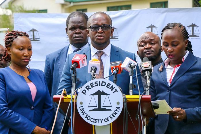 Law Society of Kenya President Eric Theuri