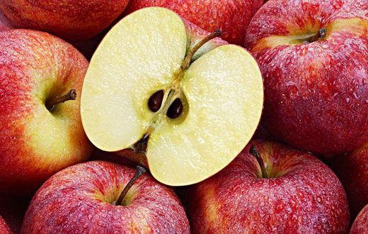 Apple seeds are not exempted [Britannica]